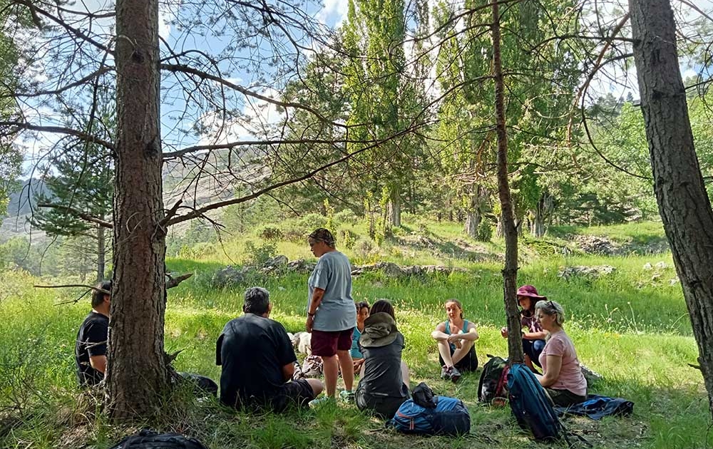 descansando en el bosque