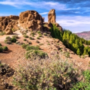 hikes_in_gran_canaria_1.max-1280x768